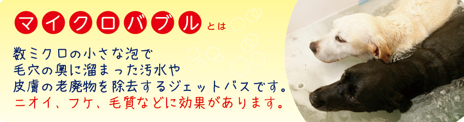 マイクロバブルとは